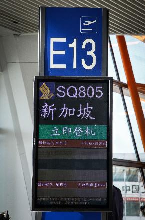 行走狮城遇见完美300张美图行程美食优惠全攻略