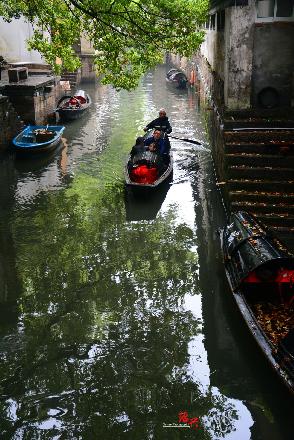 清明時節春雨如簾,江南水鄉溫婉若越----清明雨中游紹興